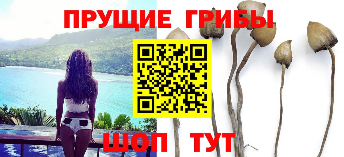 Галлюциногенные грибы Cubensis  Вход с VPN  Уссурийск 
