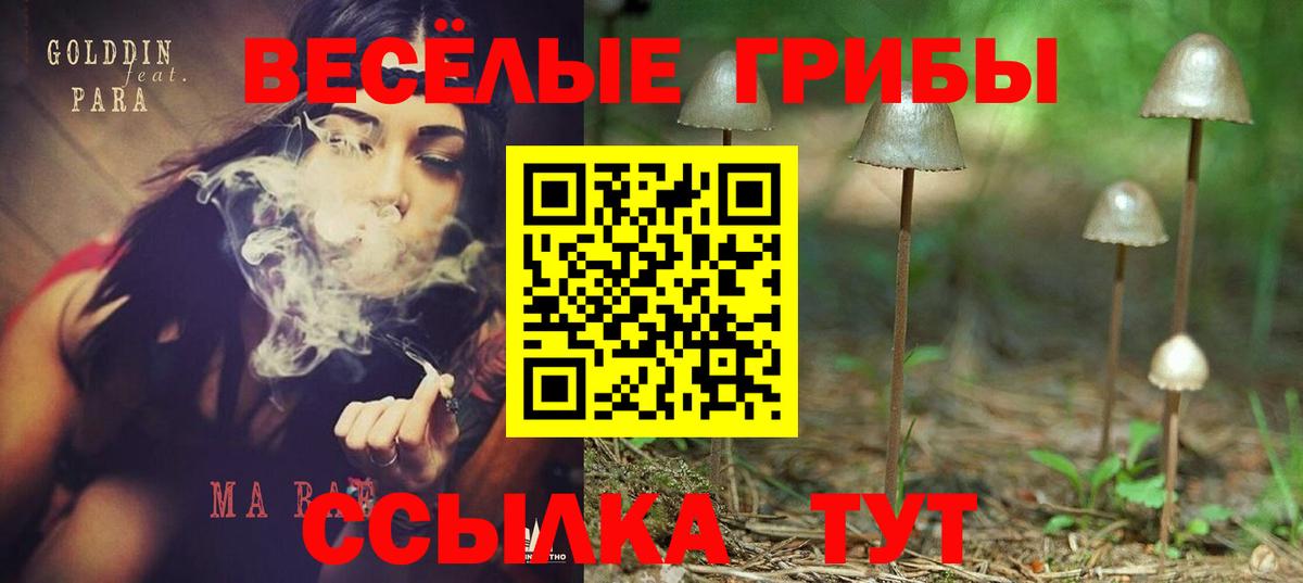 Псилоцибиновые грибы GOLDEN TEACHER Уссурийск